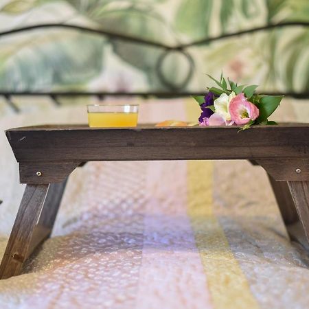 Garden Apartment - Oaza U Centru Grada Νόβι Σαντ Εξωτερικό φωτογραφία